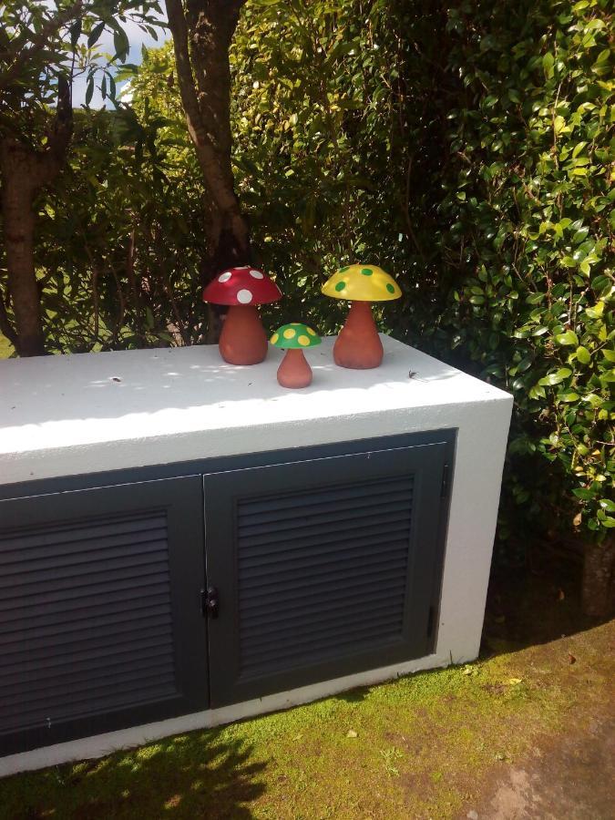 Quinta do Vale Horta (Azores) Exterior foto